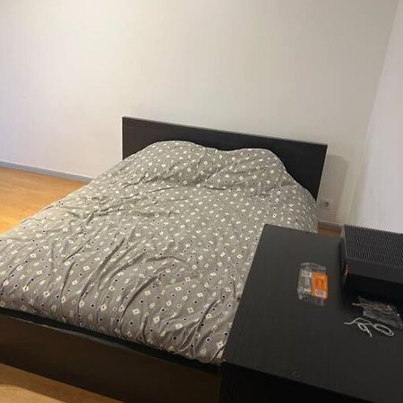 Studio A 2 Minutes De La Gare Apartment Mulhouse Bagian luar foto