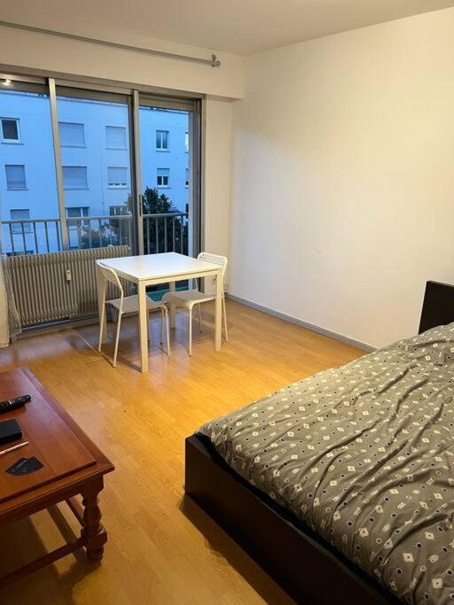 Studio A 2 Minutes De La Gare Apartment Mulhouse Bagian luar foto
